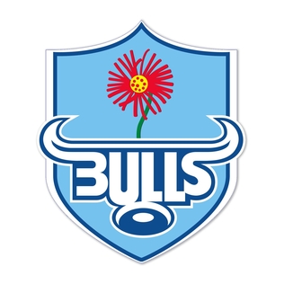 Bulls (SA)
